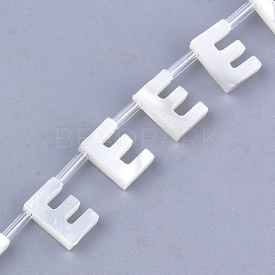 Natural Sea Shell Beads SHEL-T012-60E-1