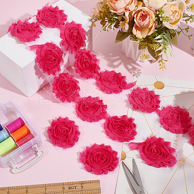 Polyester Lace Ribbons OCOR-WH0082-213B-1