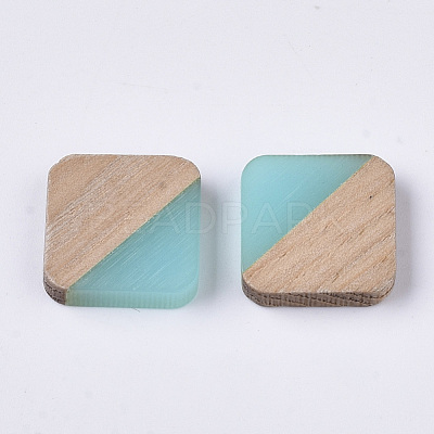 Resin & Walnut Wood Cabochons RESI-S358-A-90H-1