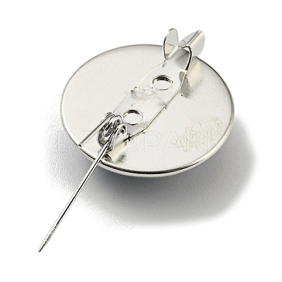 Round Glass Brooches FIND-Q096-01S-1