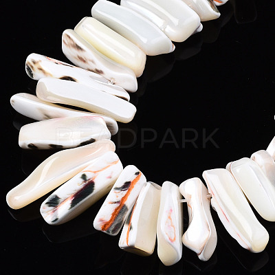 Natural Trochid Shell/Trochus Shell Beads Strands SSHEL-T014-41-1