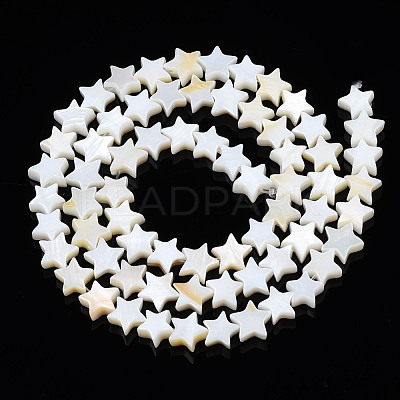 Natural Freshwater Shell Beads Strands SHEL-S278-01A-01-1