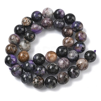 Natural Charoite Beads Strands G-C270-O03-10-1