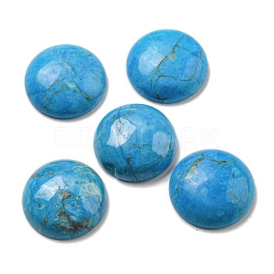 Natural Howlite Cabochons G-C115-02A-37-1