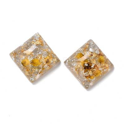 Transparent Resin Cabochons CRES-P019-02B-1