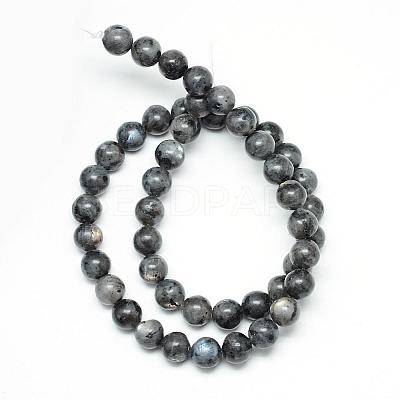 Natural Larvikite Beads Strands G-R345-10mm-33-1