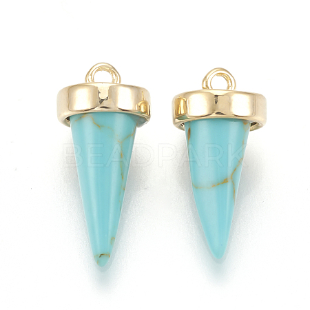 Synthetic Turquoise Charms X-KK-Q735-399D-1