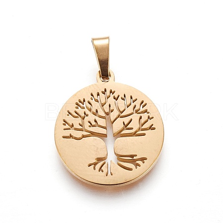 304 Stainless Steel Pendants STAS-P234-37G-1