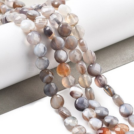 Natural Botswana Agate Beads Strands G-C179-A18-02-1