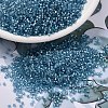 MIYUKI Delica Beads SEED-MY11-DB2383-1
