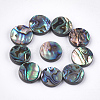 Abalone Shell/Paua Shell Beads SSHEL-T008-06B-1