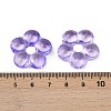 Transparent Glass Beads GLAA-F129-01H-3