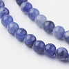 Natural Sodalite Bead Strands G-G735-58-4mm-A-3