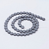 Non-magnetic Synthetic Hematite Beads Strands G-P341-47F-6x3mm-2