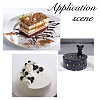 Acrylic & Paper Birthday Cake Insert Card Decoration AJEW-FH0004-55-7