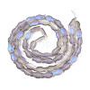 Frosted Glass Beads Strands GLAA-T023-40C-04-2