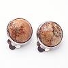 Natural Picture Jasper Brass Clip-on Earrings EJEW-A051-B004-1