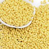 Baking Paint Glass Seed Beads X1-SEED-K010-A26-1