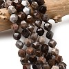 Natural Petrified Wood Beads Strands G-Z119-A21-02-1