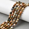 Natural Agate Beads Strands X-G-G991-A03-A-01A-8