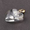 Spray Painted Glass Pendants GLAA-N035-016-A03-4
