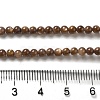 Natural Freshwater Shell Beads Strands SHEL-H003-03D-4