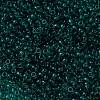 MIYUKI Round Rocailles Beads SEED-X0055-RR2405-3