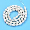 Natural Cultured Freshwater Pearl Beads Strands PEAR-N012-04U-01-3