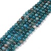 Natural Apatite Beads Strands X-G-D856-01-4mm-5