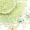 Baking Paint Glass Seed Beads SEED-L011-09A-21-1