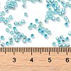 Glass Seed Beads SEED-S042-04B-23-4