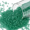 TOHO Round Seed Beads X-SEED-TR11-0072F-1