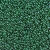 MIYUKI Round Rocailles Beads SEED-X0054-RR0173-2