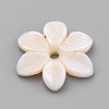 Natural Freshwater Shell Beads SHEL-S269-32-2