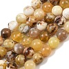 Natural Yellow Opal Beads Strands G-G992-A02-A-2