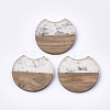 Resin & Walnut Wood Pendants RESI-T023-A-11I-1