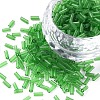 Transparent Glass Bugle Beads SEED-N005-001-C06-1