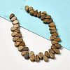 Natural Picture Jasper Beads Strands G-B064-B02-2