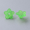 Transparent Acrylic Beads X-PL554-13-2