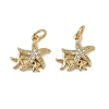 Brass Micro Pave Cubic Zirconia Pendants KK-I358-065G-02-1