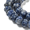 Natural Blue Spot Jasper Beads Strands G-G142-A13-01-4