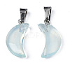 Spray Painted Glass Pendants GLAA-N035-021-A02-4