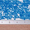 MIYUKI Delica Beads X-SEED-J020-DB0787-4