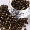 6/0 Glass Seed Beads X2-SEED-A005-4mm-53-1