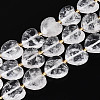 Natural Quartz Crystal Beads Strands G-P592-B19-01-2