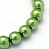 Baking Painted Pearlized Glass Pearl Round Bead Strands X-HY-Q003-6mm-13-2