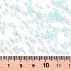 11/0 FGB Grade A Transparent Glass Seed Beads X-SEED-N001-E-315-3