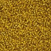 12/0 Glass Seed Beads X2-SEED-A005-2mm-30-2