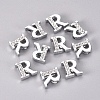 Alloy Slide Charms PALLOY-WH0066-21R-2
