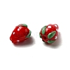 Lampwork Beads INS-PW0001-03C-1-2